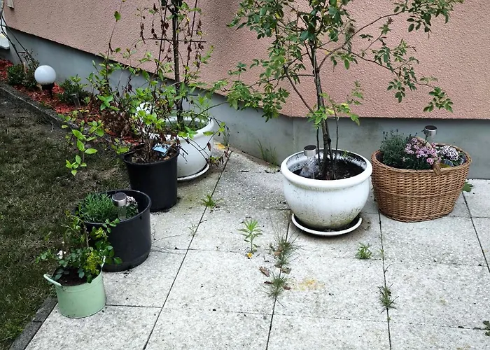 Blumenberg Ferienwohnung