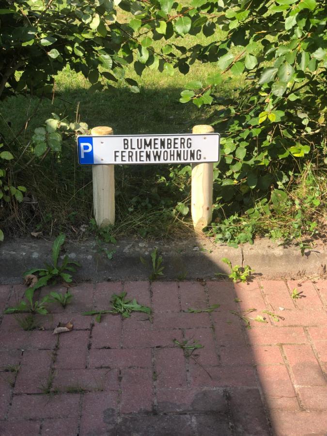 Blumenberg Lejlighed *